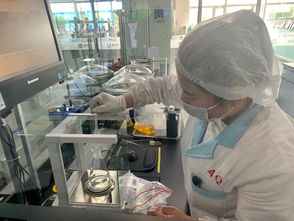 探訪蒙牛工廠與京東冷鏈分揀中心 冰淇淋產業全鏈路服務升級與信息咨詢新圖景