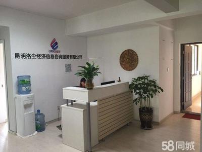 洛塵經濟信息咨詢 專業賦能，智啟未來——信息咨詢服務新起點